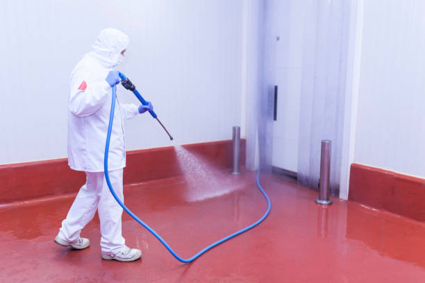 Boat and Dock Cleaning in Wendell, ID